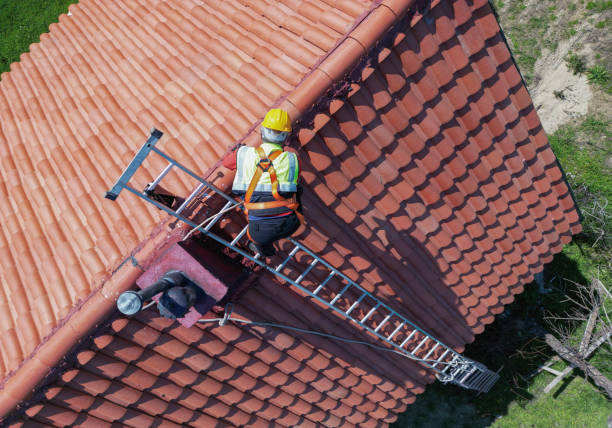 Best Roof Moss and Algae Removal  in Reminderville, OH